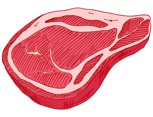 Het Carnivoor Dieet